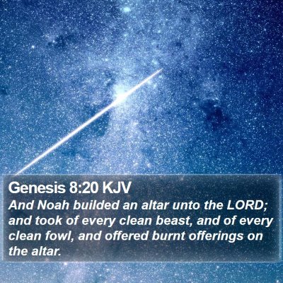 Genesis 8:20 KJV Bible Verse Image