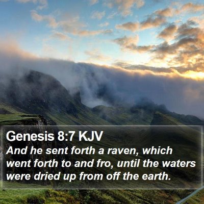 Genesis 8:7 KJV Bible Verse Image