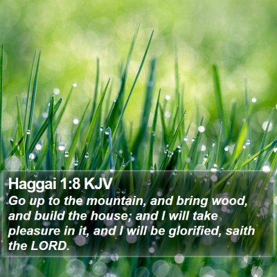 Haggai 1:8 KJV Bible Verse Image