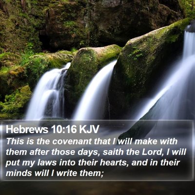 Hebrews 10:16 KJV Bible Verse Image
