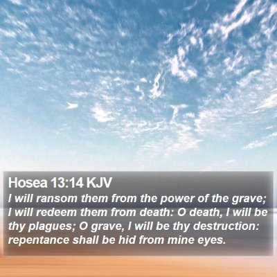 Hosea 13:14 KJV Bible Verse Image