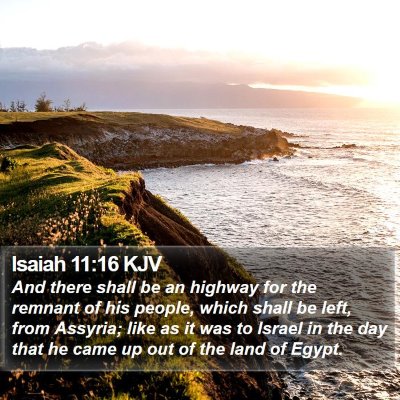 Isaiah 11:16 KJV Bible Verse Image