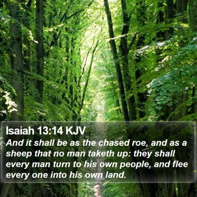 Isaiah 13:14 KJV Bible Verse Image