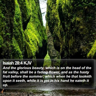 Isaiah 28:4 KJV Bible Verse Image