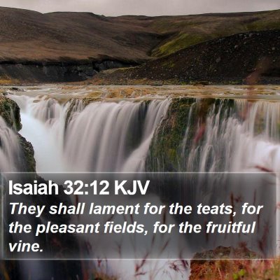 Isaiah 32:12 KJV Bible Verse Image