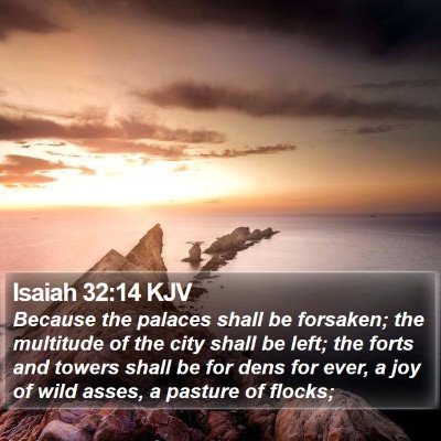 Isaiah 32:14 KJV Bible Verse Image
