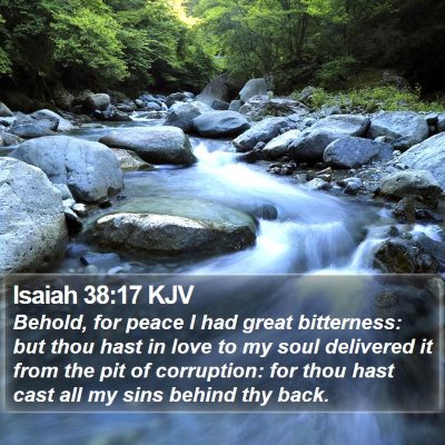 Isaiah 38:17 KJV Bible Verse Image