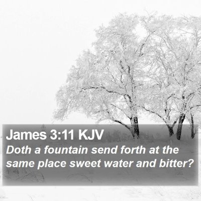 James 3:11 KJV Bible Verse Image
