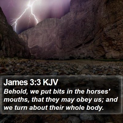 James 3:3 KJV Bible Verse Image