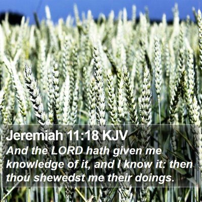 Jeremiah 11:18 KJV Bible Verse Image