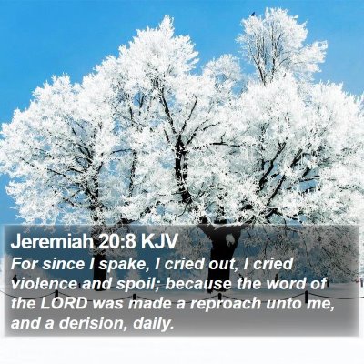 Jeremiah 20:8 KJV Bible Verse Image