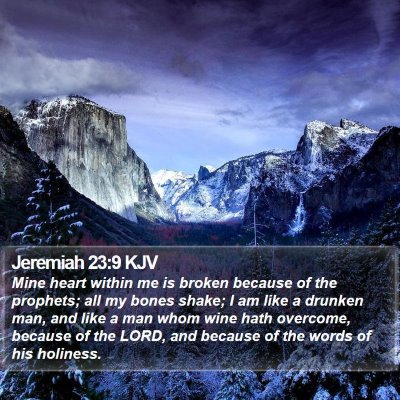 Jeremiah 23:9 KJV Bible Verse Image