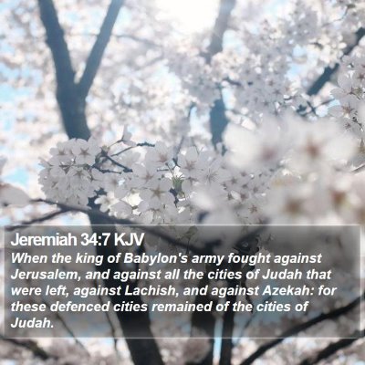 Jeremiah 34:7 KJV Bible Verse Image