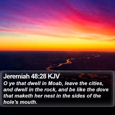 Jeremiah 48:28 KJV Bible Verse Image