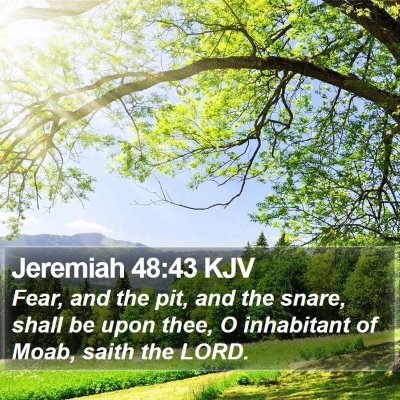 Jeremiah 48:43 KJV Bible Verse Image
