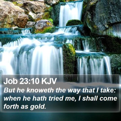 Job 23:10 KJV Bible Verse Image