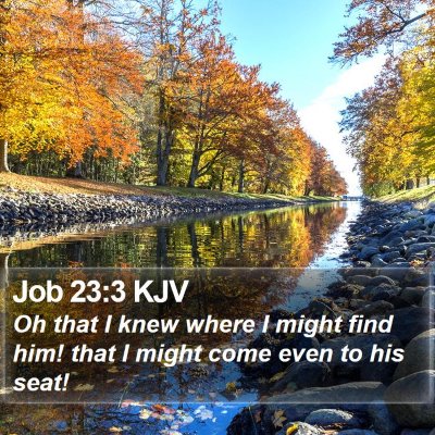Job 23:3 KJV Bible Verse Image