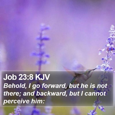 Job 23:8 KJV Bible Verse Image