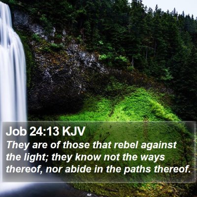 Job 24:13 KJV Bible Verse Image