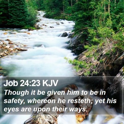 Job 24:23 KJV Bible Verse Image