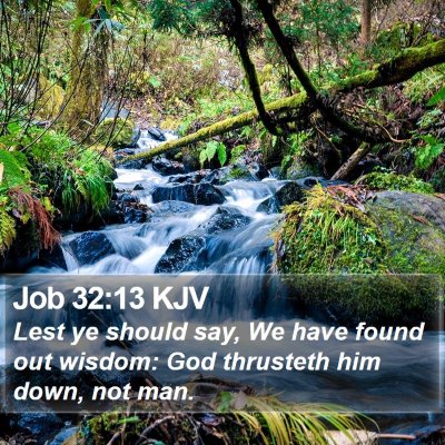 Job 32:13 KJV Bible Verse Image