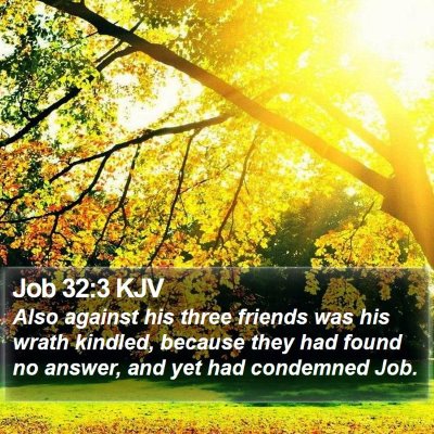 Job 32:3 KJV Bible Verse Image