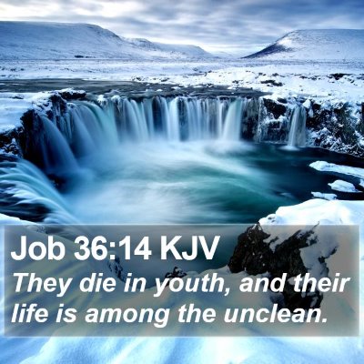 Job 36:14 KJV Bible Verse Image