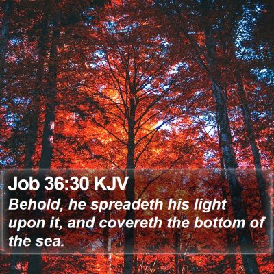 Job 36:30 KJV Bible Verse Image