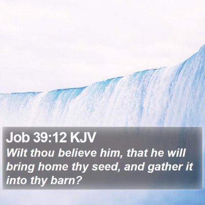 Job 39:12 KJV Bible Verse Image