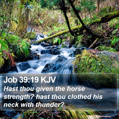 Job 39:19 KJV Bible Verse Image