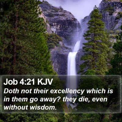 Job 4:21 KJV Bible Verse Image