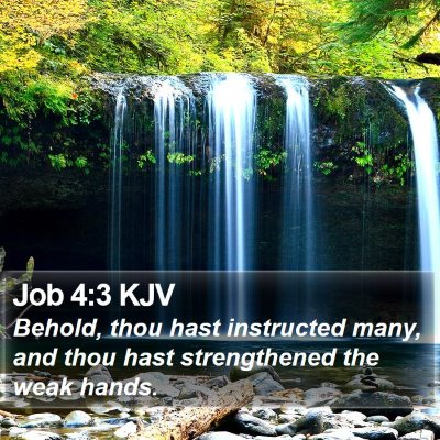 Job 4:3 KJV Bible Verse Image