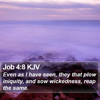 Job 4:8 KJV Bible Verse Image
