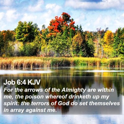 Job 6:4 KJV Bible Verse Image
