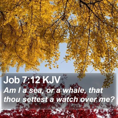 Job 7:12 KJV Bible Verse Image