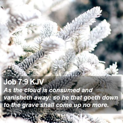 Job 7:9 KJV Bible Verse Image