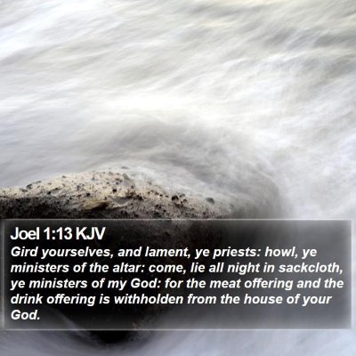 Joel 1:13 KJV Bible Verse Image