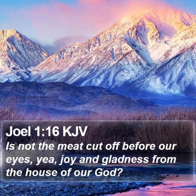 Joel 1:16 KJV Bible Verse Image