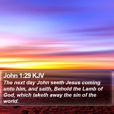 John 1:29 KJV Bible Verse Image