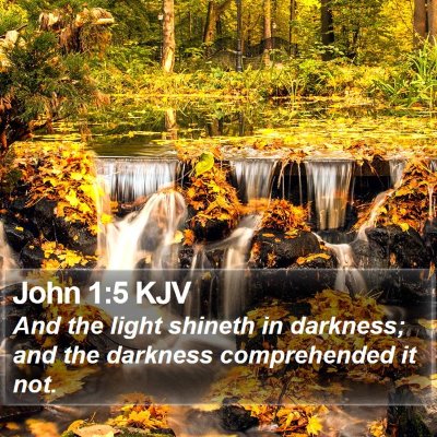 John 1:5 KJV Bible Verse Image