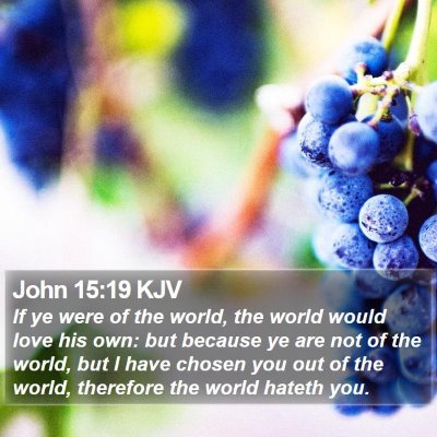 John 15:19 KJV Bible Verse Image