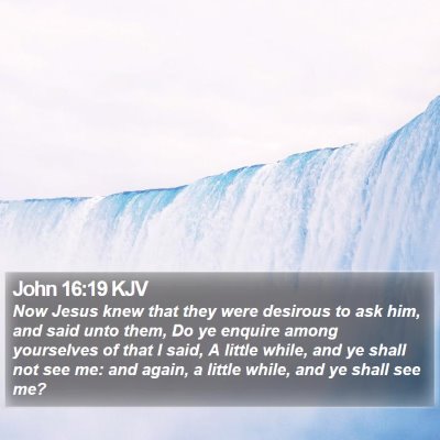 John 16:19 KJV Bible Verse Image