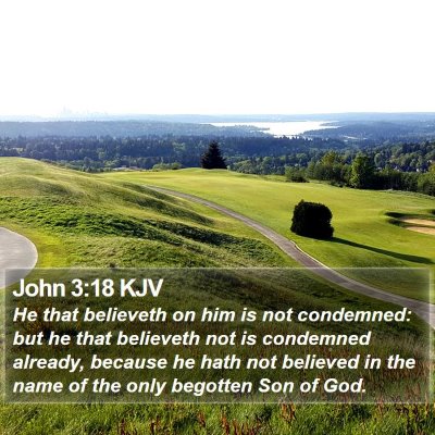 John 3:18 KJV Bible Verse Image