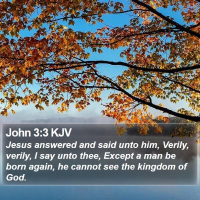 John 3:3 KJV Bible Verse Image