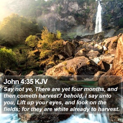 John 4:35 KJV Bible Verse Image