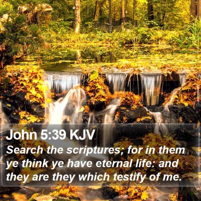 John 5:39 KJV Bible Verse Image