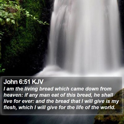 John 6:51 KJV Bible Verse Image