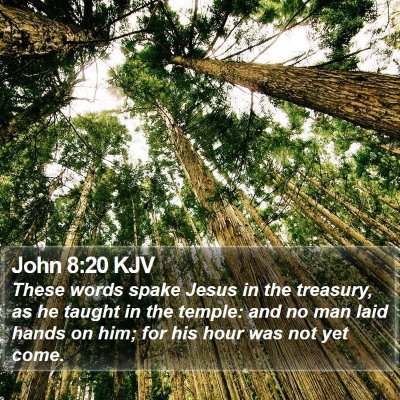 John 8:20 KJV Bible Verse Image