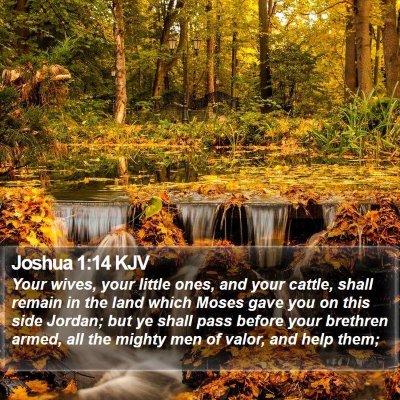 Joshua 1:14 KJV Bible Verse Image