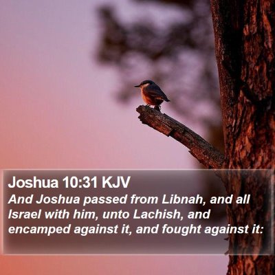 Joshua 10:31 KJV Bible Verse Image